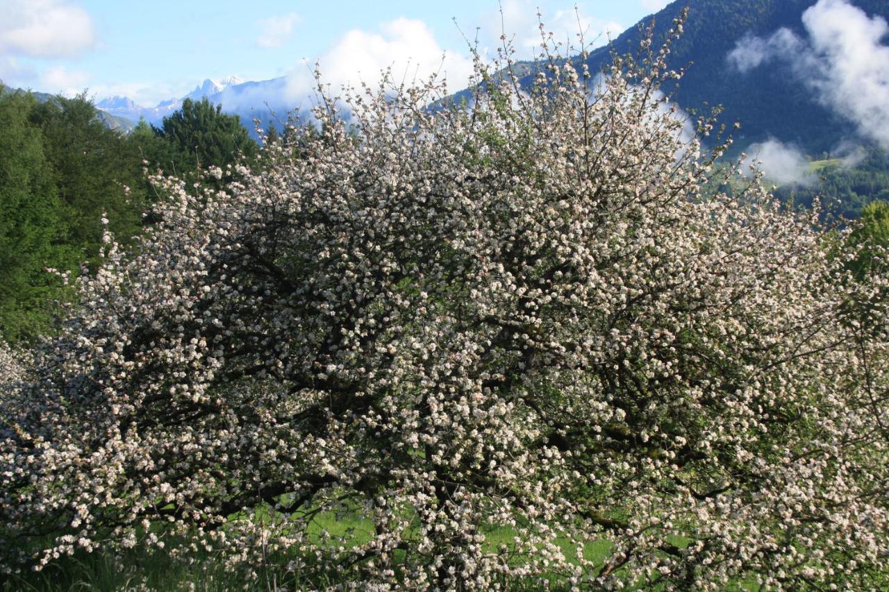 Albergo Diffuso Faller Exterior foto
