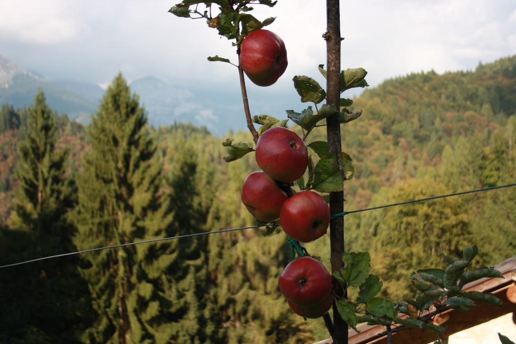 Albergo Diffuso Faller Exterior foto