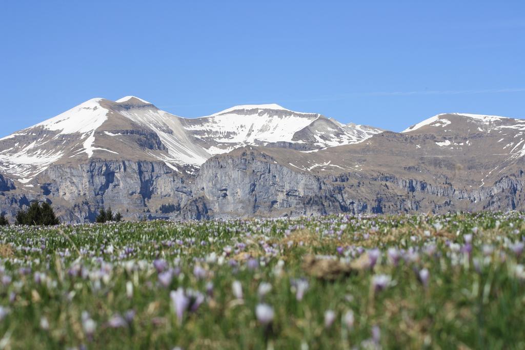 Albergo Diffuso Faller Exterior foto
